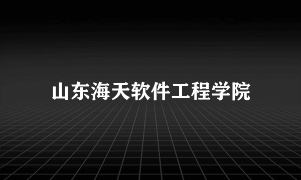 山东海天软件工程学院