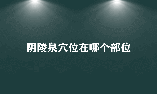 阴陵泉穴位在哪个部位