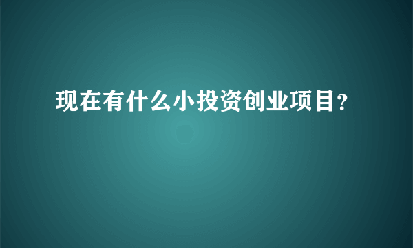 现在有什么小投资创业项目？