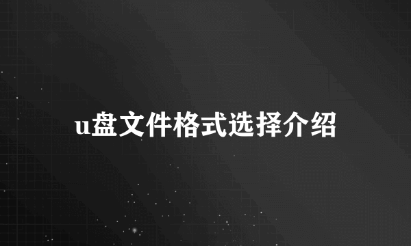 u盘文件格式选择介绍