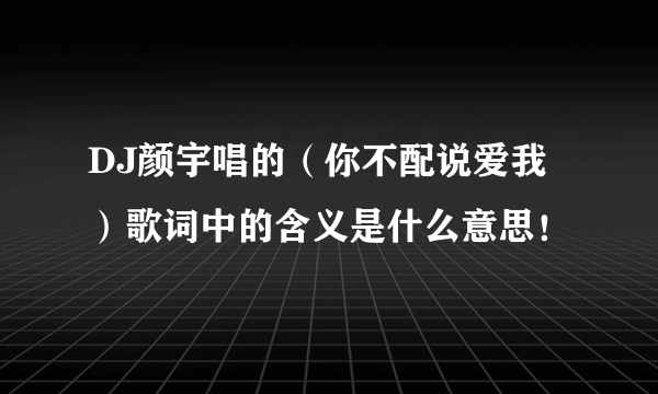 DJ颜宇唱的（你不配说爱我）歌词中的含义是什么意思！