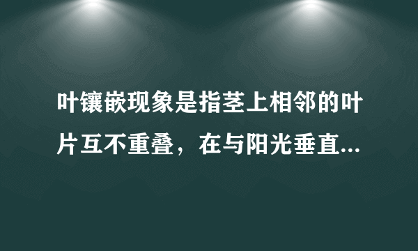 叶镶嵌现象是指茎上相邻的叶片互不重叠，在与阳光垂直的层面上做镶嵌排列。对该现象的解释正确的是A．有利于叶片充分接受光照B．有利于叶片充分吸收营养C．有利于叶片充分吸收二氧化碳D．有利于叶片充分释放氧气