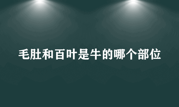 毛肚和百叶是牛的哪个部位