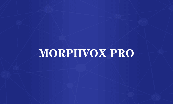 MORPHVOX PRO