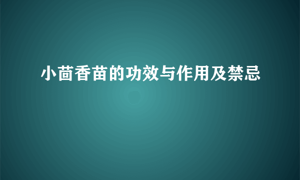 小茴香苗的功效与作用及禁忌