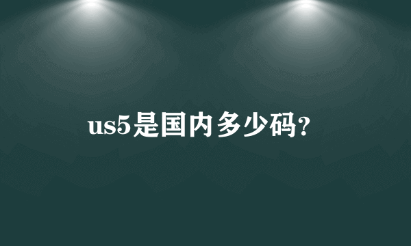 us5是国内多少码？