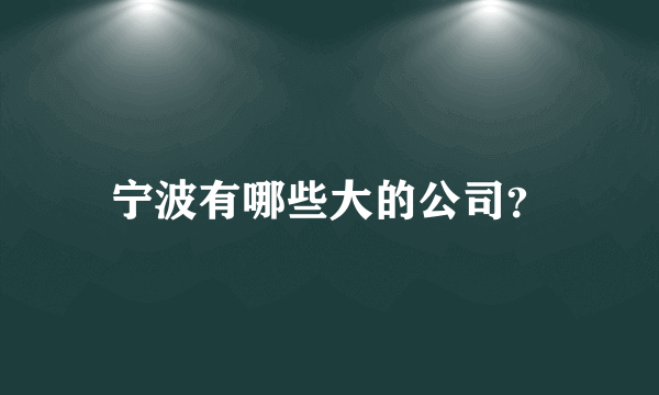 宁波有哪些大的公司？