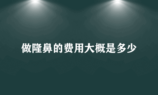 做隆鼻的费用大概是多少