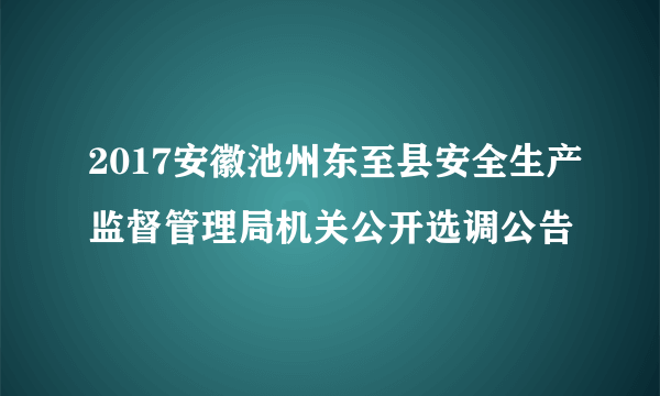 2017安徽池州东至县安全生产监督管理局机关公开选调公告