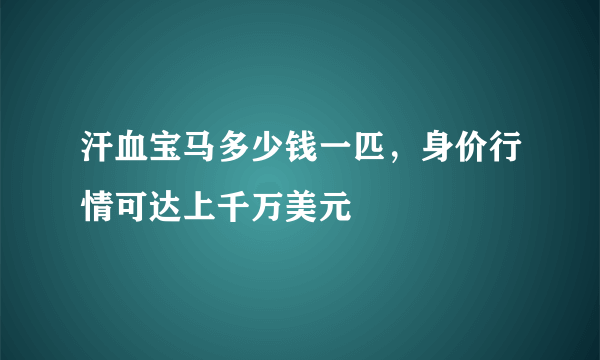 汗血宝马多少钱一匹，身价行情可达上千万美元