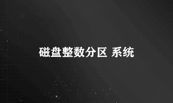 磁盘整数分区 系统