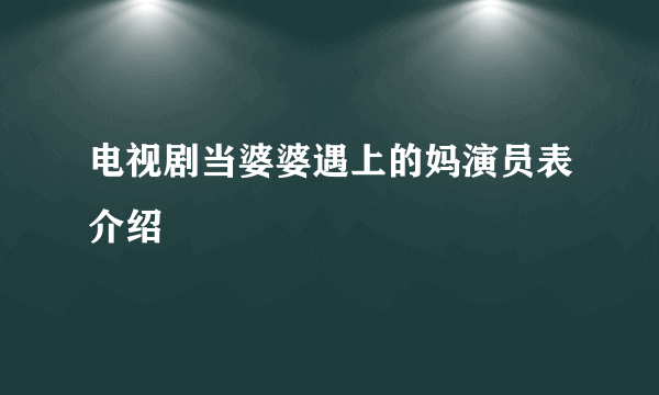 电视剧当婆婆遇上的妈演员表介绍