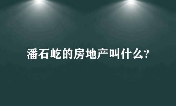 潘石屹的房地产叫什么?