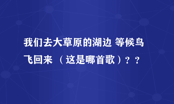 我们去大草原的湖边 等候鸟飞回来 （这是哪首歌）？？