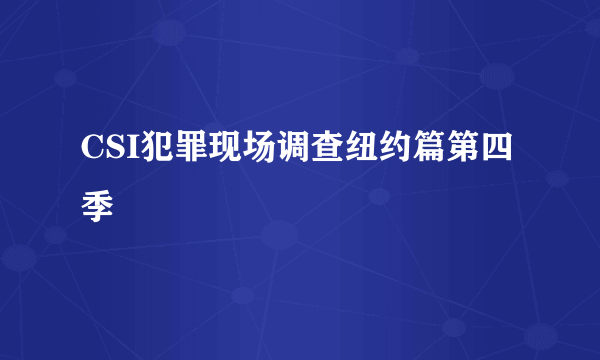 CSI犯罪现场调查纽约篇第四季