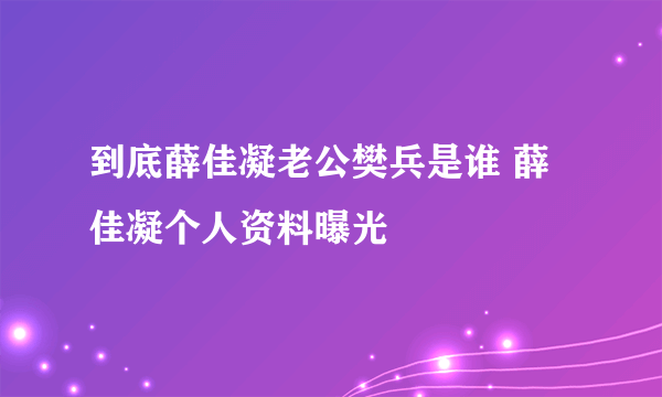 到底薛佳凝老公樊兵是谁 薛佳凝个人资料曝光