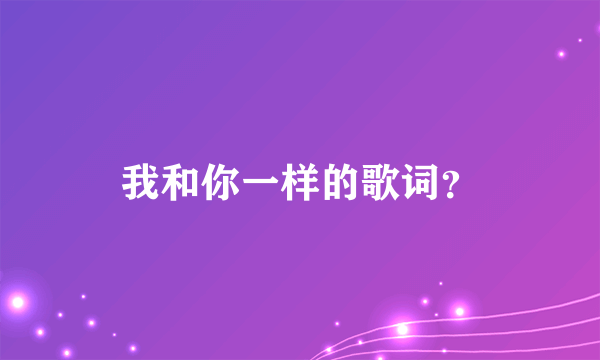 我和你一样的歌词？