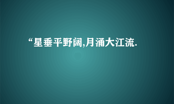 “星垂平野阔,月涌大江流.